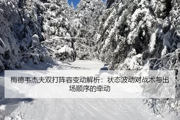 梅德韦杰夫双打阵容变动解析：状态波动对战术与出场顺序的牵动